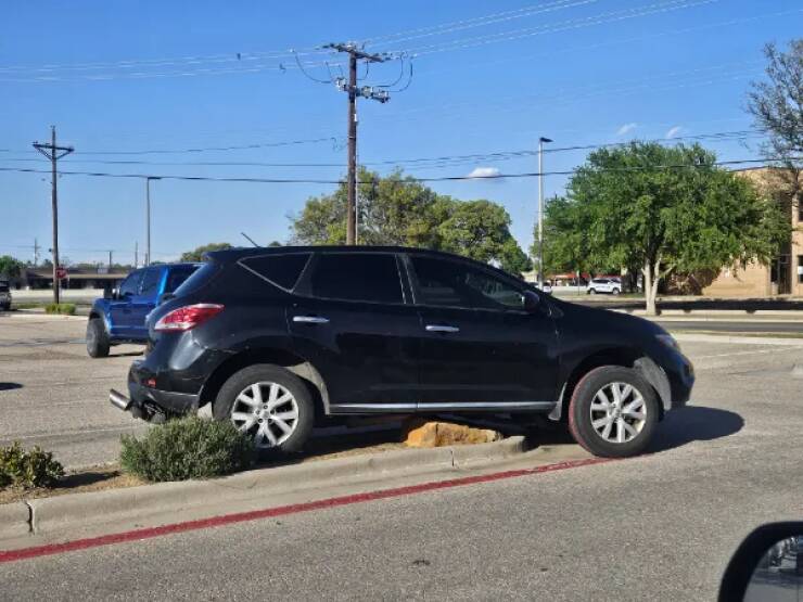 Crazy Drivers Pushing The Boundaries Of License Rules