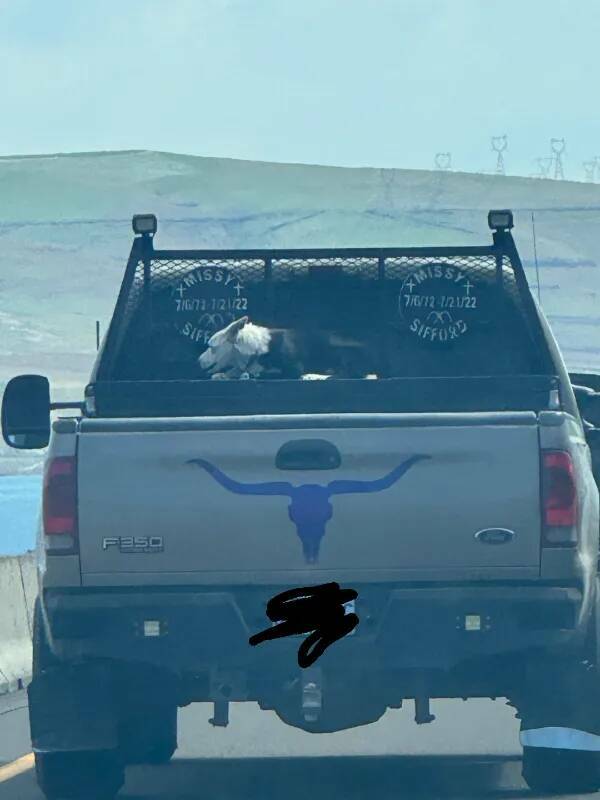 Crazy Drivers Pushing The Boundaries Of License Rules