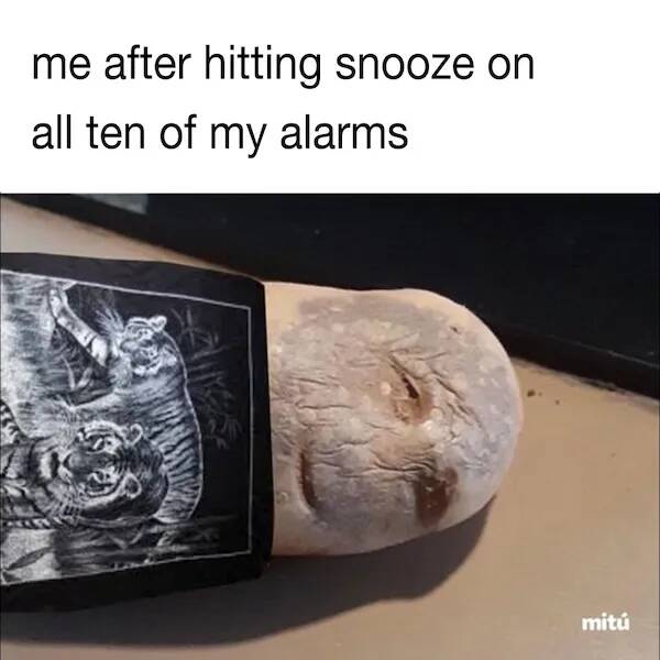 Memes For The Sleep-Deprived