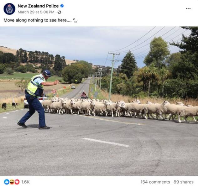 Hilarious Highlights From The New Zealand Police Facebook