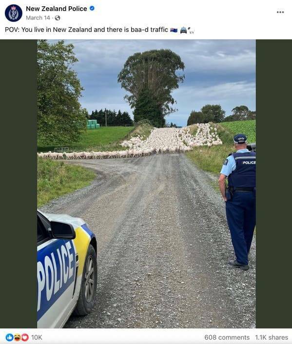 Hilarious Highlights From The New Zealand Police Facebook