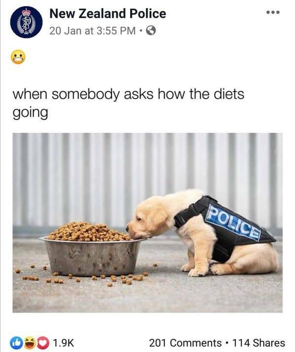 Hilarious Highlights From The New Zealand Police Facebook