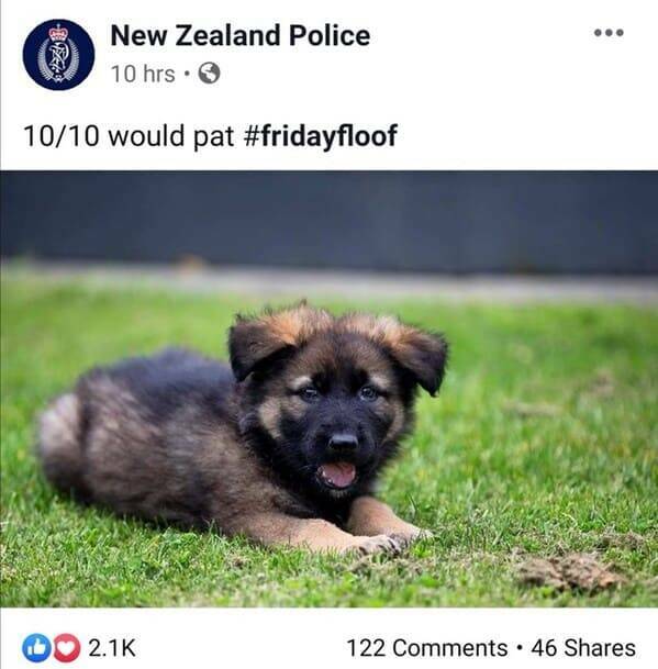 Hilarious Highlights From The New Zealand Police Facebook