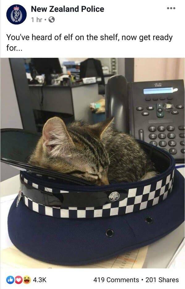 Hilarious Highlights From The New Zealand Police Facebook