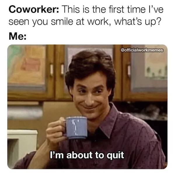Memes To Survive The Workweek