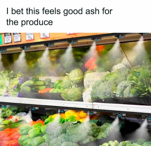 Hilarious Food Memes For Every Palate