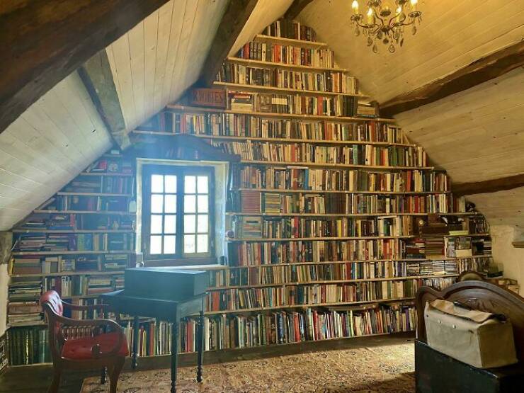 Satisfying Pics For Devoted Book Enthusiasts