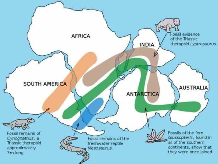 Fascinating Maps Revealing Unexplored Perspectives