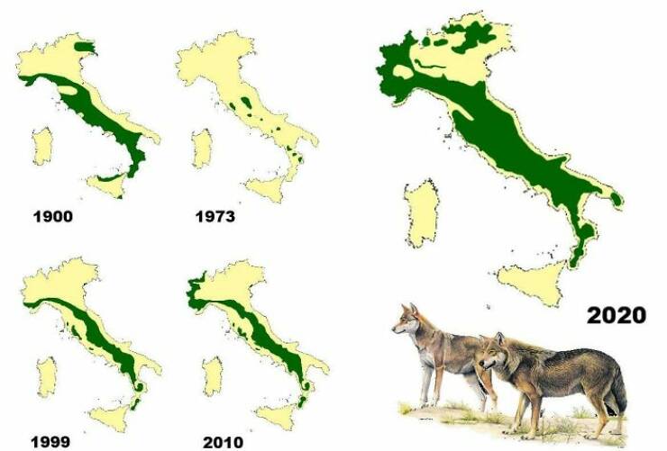 Fascinating Maps Revealing Unexplored Perspectives