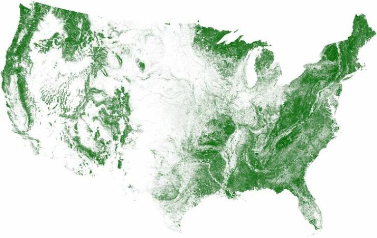 Fascinating Maps Revealing Unexplored Perspectives