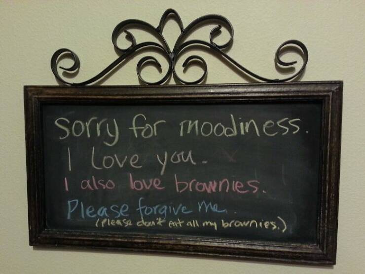 Laugh-Out-Loud Apology Notes That Stole The Show