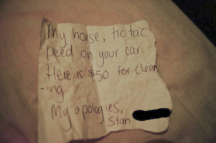 Laugh-Out-Loud Apology Notes That Stole The Show