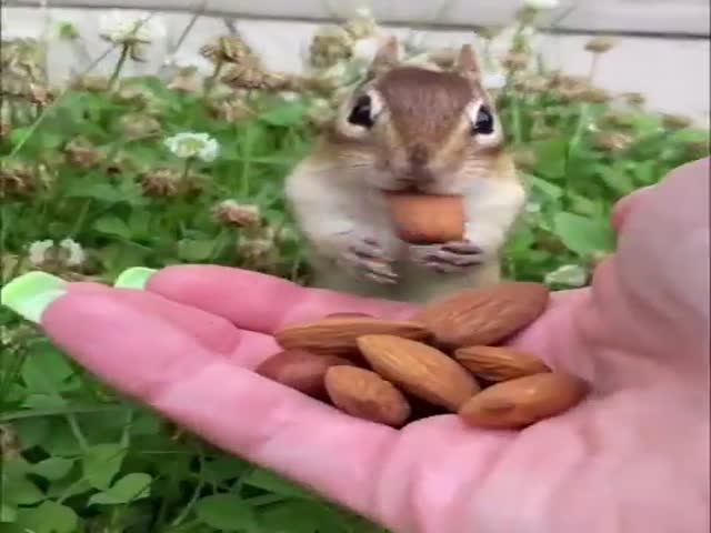 Hes Trying Almonds For The First Time