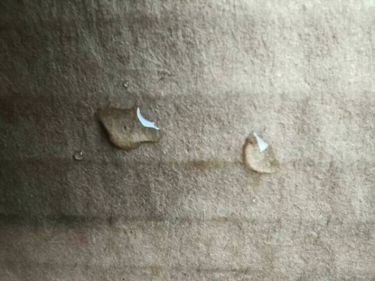 People Share Not Interesting Pics