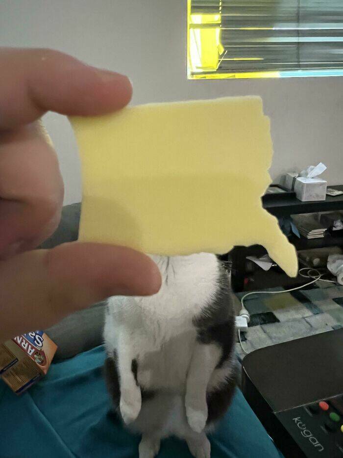 People Share Not Interesting Pics