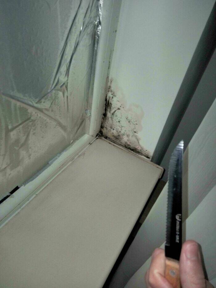 People Share Not Interesting Pics