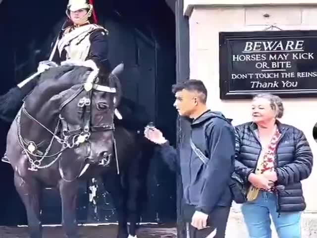 TikToker Arrested By Police Near The Royal Guard In London