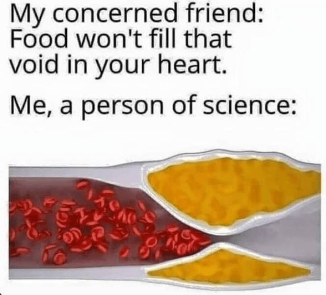 Memes That Make Science Fun