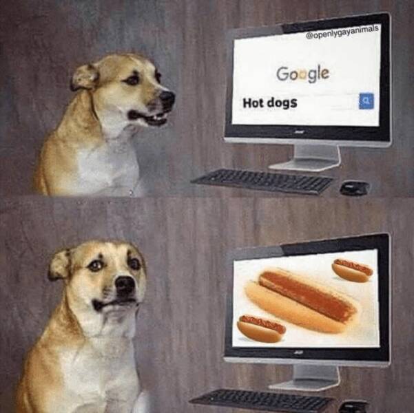 Laugh With Hotdog Memes