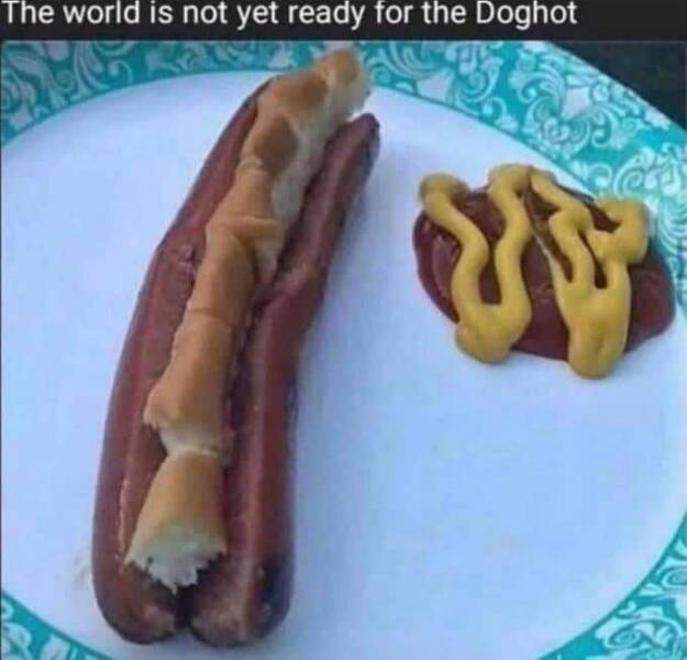 Laugh With Hotdog Memes