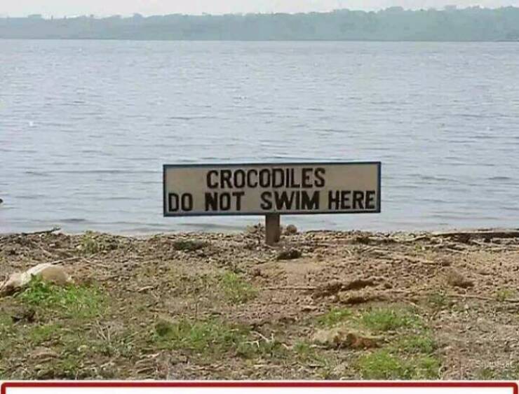 Absurd And Amusing Signs To Brighten Your Day