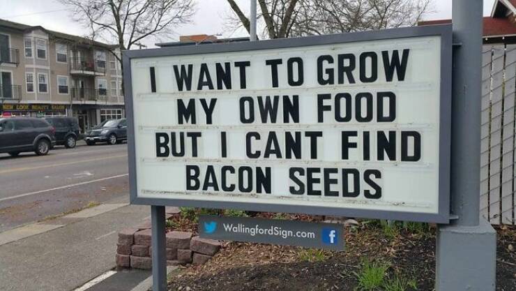 Absurd And Amusing Signs To Brighten Your Day