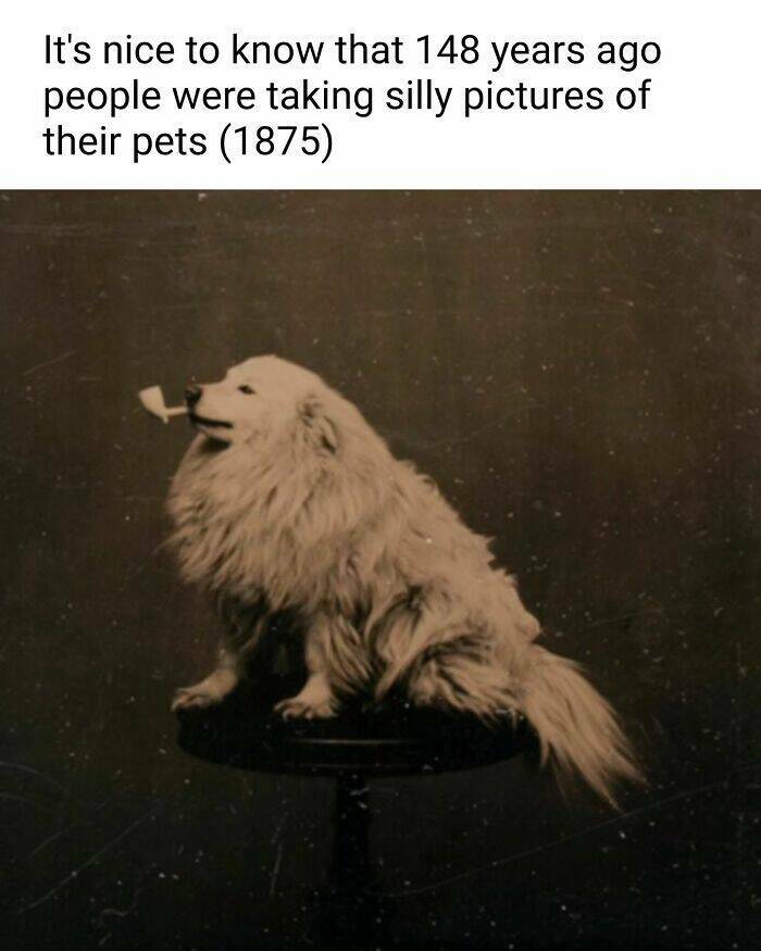 Classical Art Memes To Spice Up Your Coffee Breaks