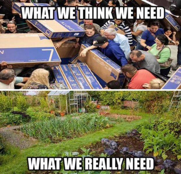 Blooming Good Memes For Gardening Enthusiasts