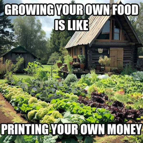 Blooming Good Memes For Gardening Enthusiasts