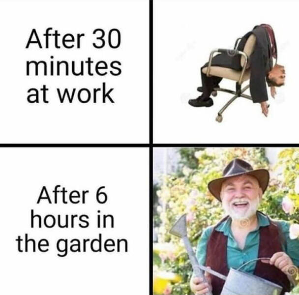 Blooming Good Memes For Gardening Enthusiasts