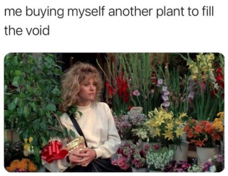 Blooming Good Memes For Gardening Enthusiasts