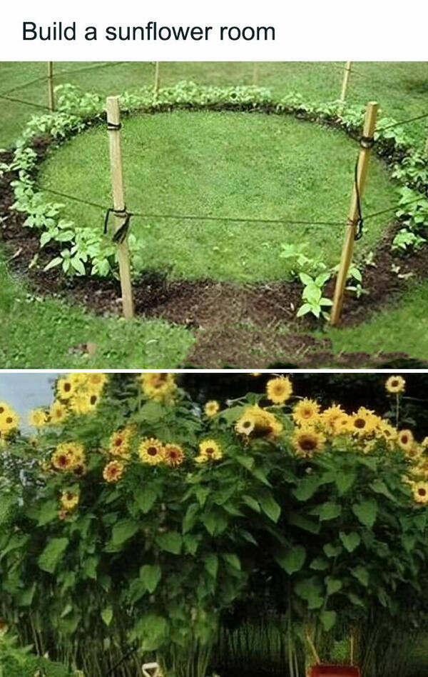 Blooming Good Memes For Gardening Enthusiasts