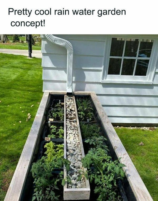 Blooming Good Memes For Gardening Enthusiasts