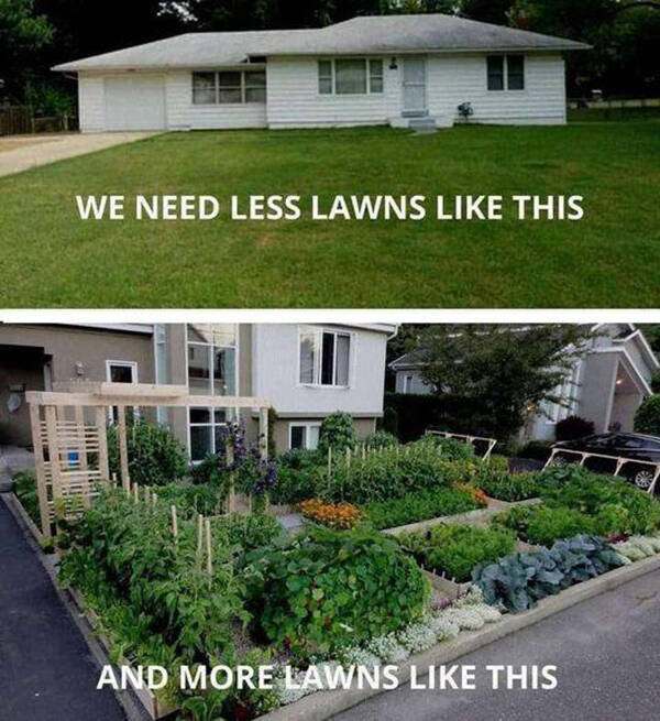 Blooming Good Memes For Gardening Enthusiasts