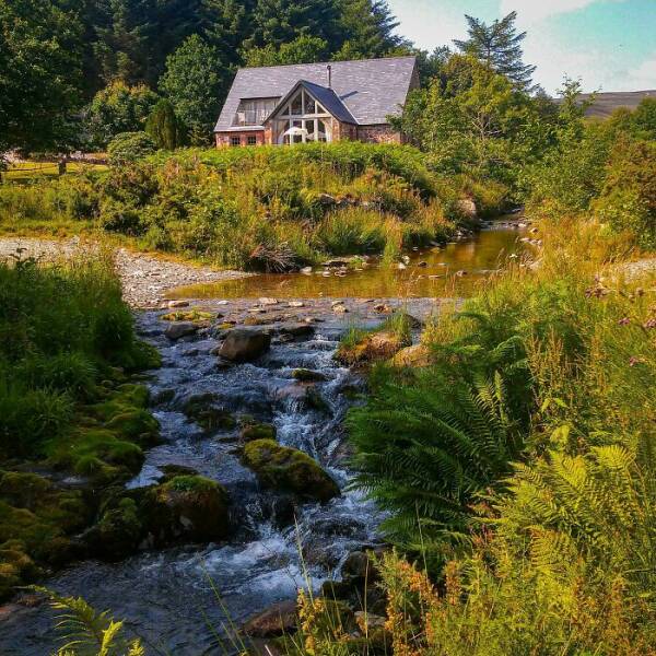 Dreamy Cabins For The Ultimate Relaxation