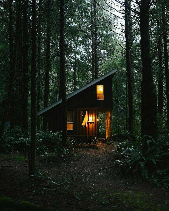 Dreamy Cabins For The Ultimate Relaxation