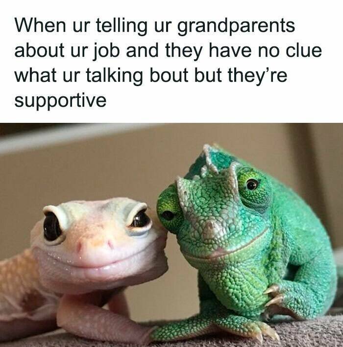 Hilariously Random Memes For A Good Laugh