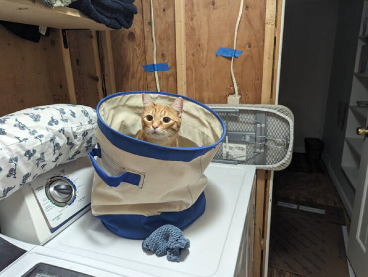 Products Built To Last Forever