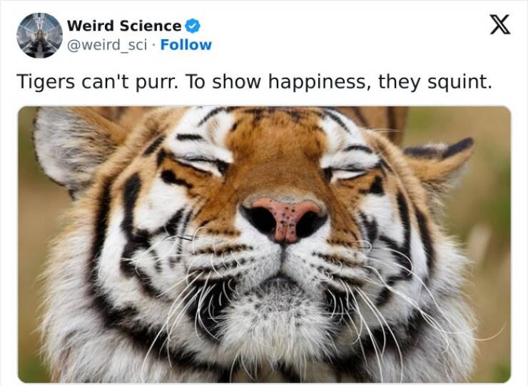 Weird Science Facts You’ll Love
