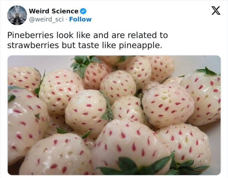 Weird Science Facts You’ll Love