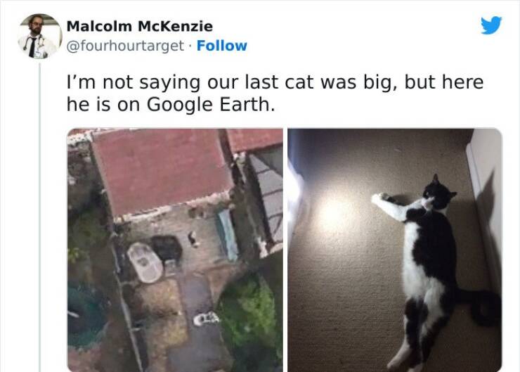 Massive Marvels That Took The Internet By Storm