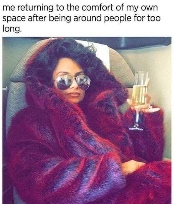Quietly Hilarious Memes For Introverts