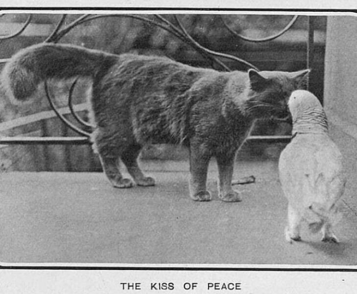 Eye-Opening Historical Photos That Offer A New Perspective