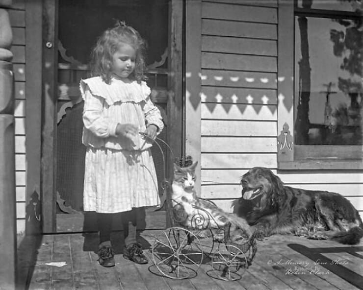 Eye-Opening Historical Photos That Offer A New Perspective