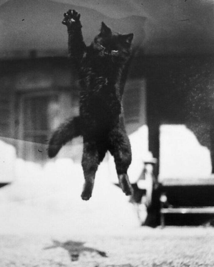 Eye-Opening Historical Photos That Offer A New Perspective