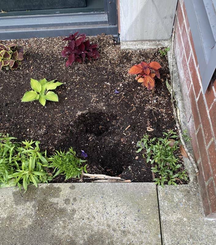 Infuriating Photos That Will Drive You Up the Wall