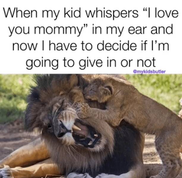 Laugh-Out-Loud Parenting Memes For Your Kids Day Off