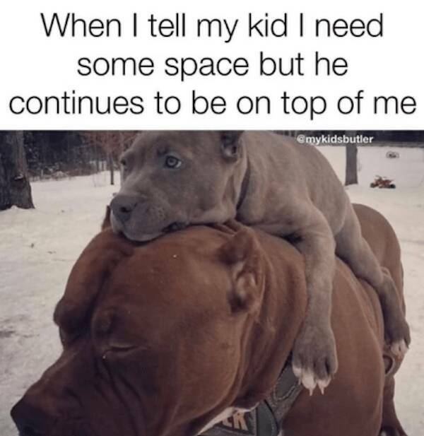 Laugh-Out-Loud Parenting Memes For Your Kids Day Off