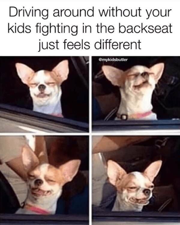 Laugh-Out-Loud Parenting Memes For Your Kids Day Off