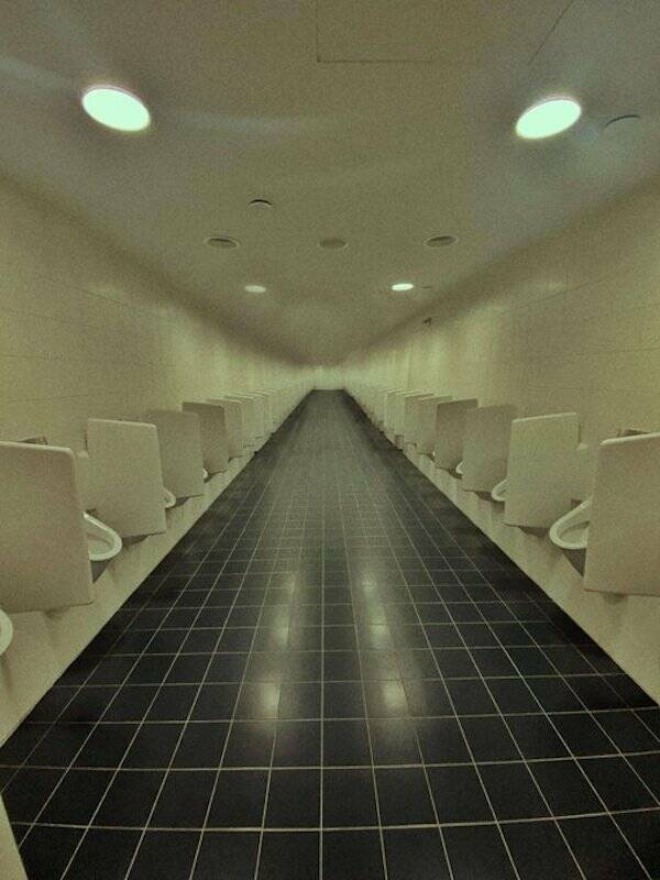 Unbelievable Toilets That Will Blow Your Mind